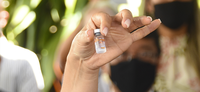 Saúde distribui quantidade necessária de vacinas para segunda dose da Coronavac