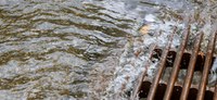 Conheça medidas essenciais para prevenção da leptospirose em caso de inundações e enchentes