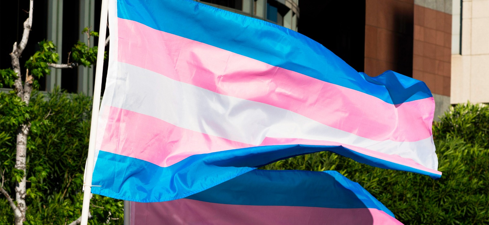 Hucam celebra Dia da Visibilidade Trans — Empresa Brasileira de