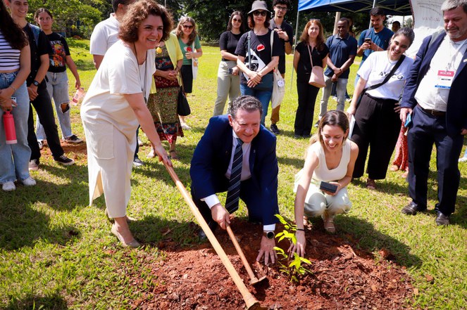 Plantação UnB memória vitimas covid