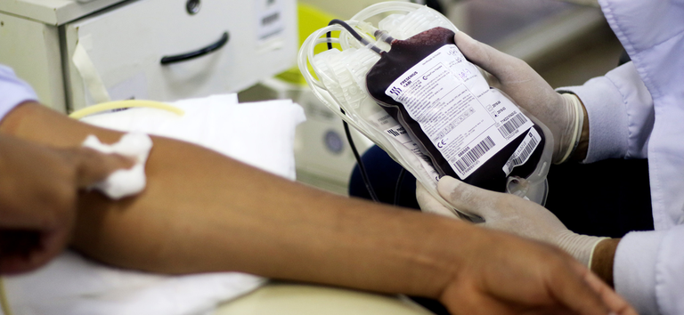 doação de sangue.png