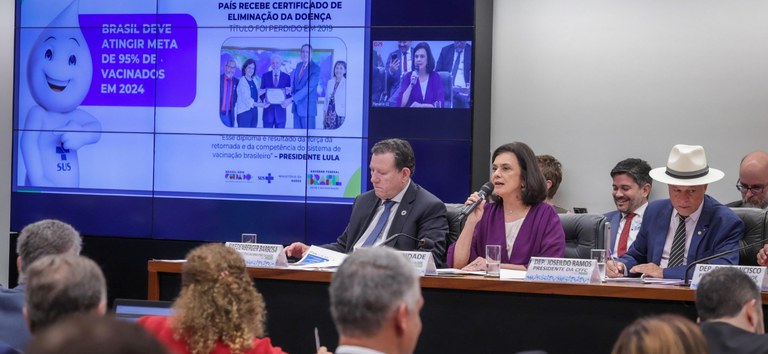 ministra na camara dos deputados.jpg