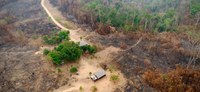 Governo federal libera crédito extraordinário para ministérios atuarem no combate à crise climática