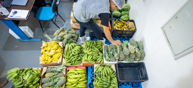 alimentação indigenas frutas.jpg