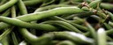 Imagem-Texto---Guia-para-escolher-e-armazenar-legumes-e-verduras.jpg