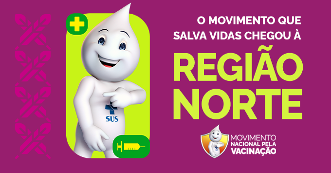 Gripe - Região Norte