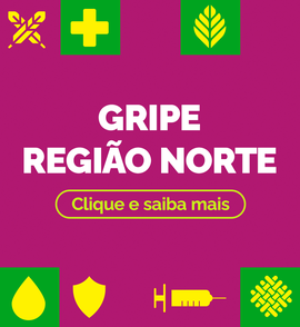 Gripe Região Norte