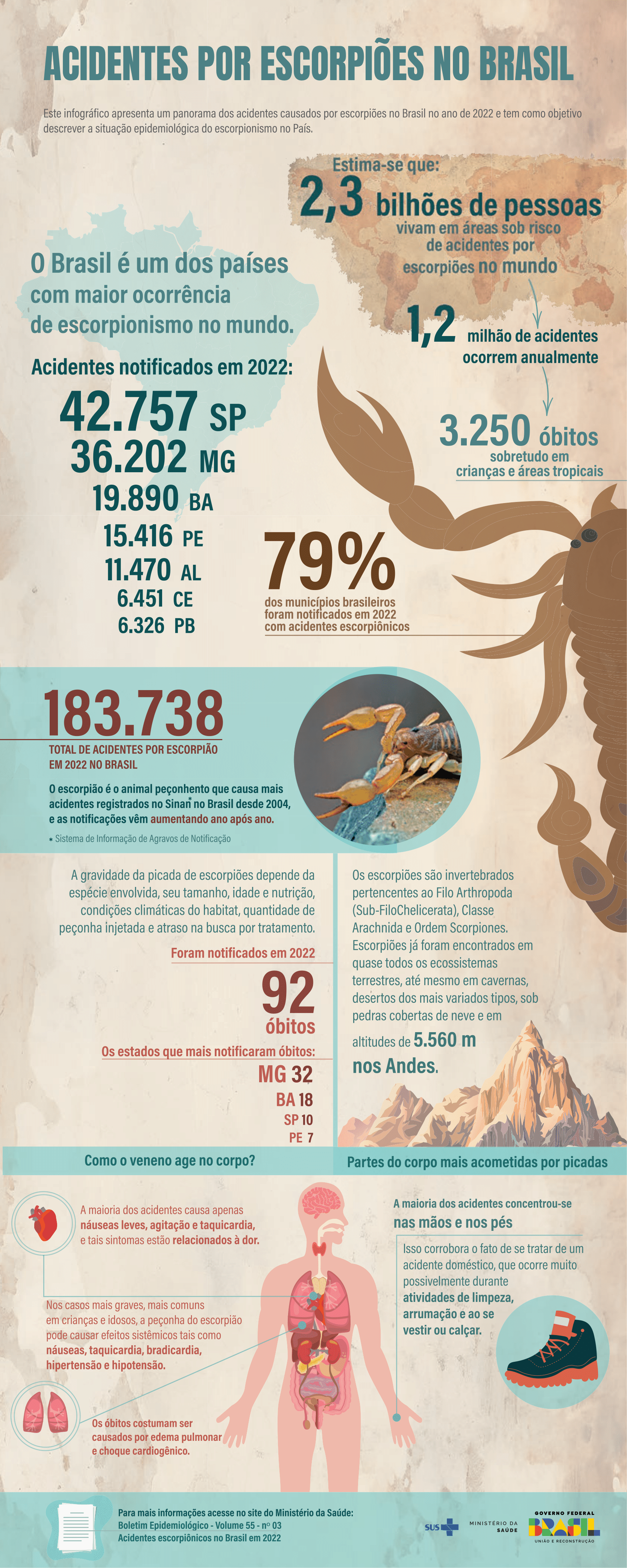 Infográfico - Acidentes por escorpiões no Brasil