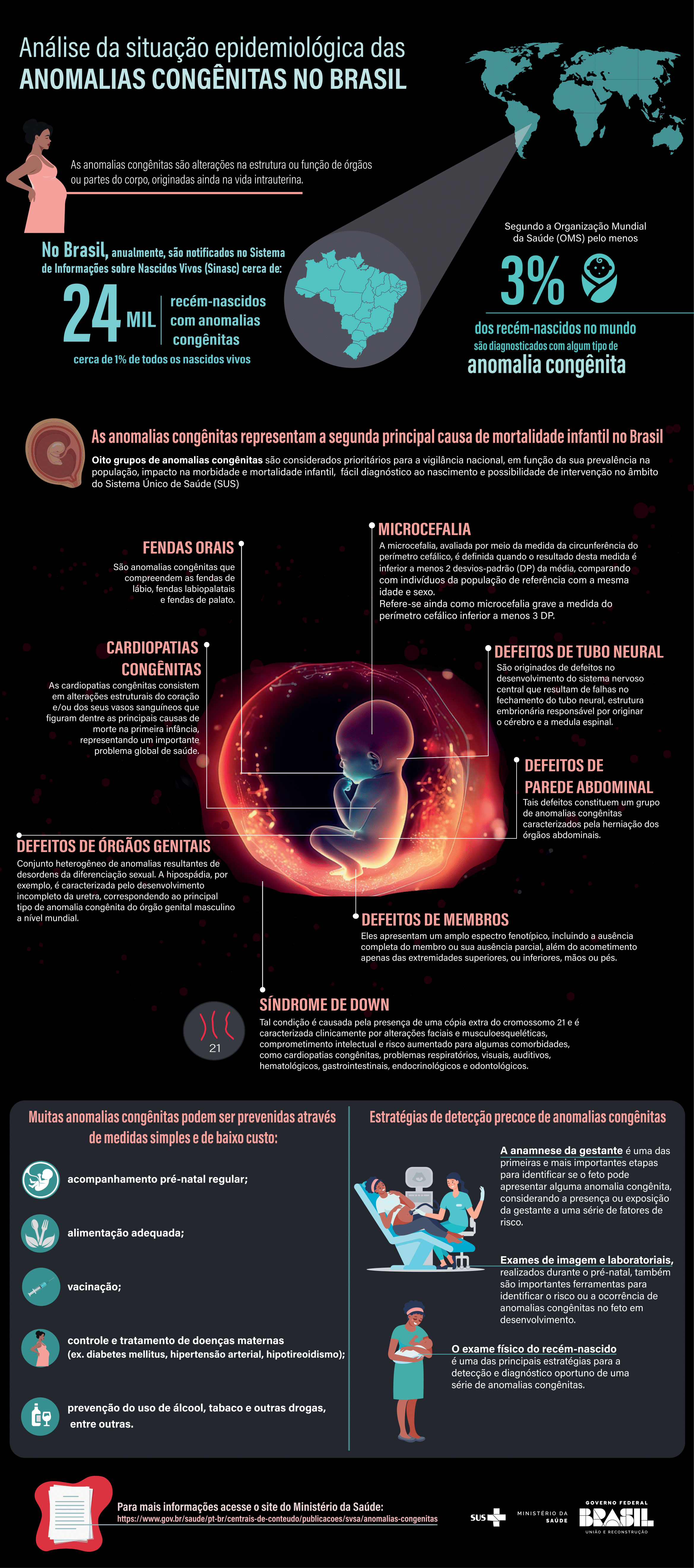 Infográfico - Anomalias Congênitas no Brasil