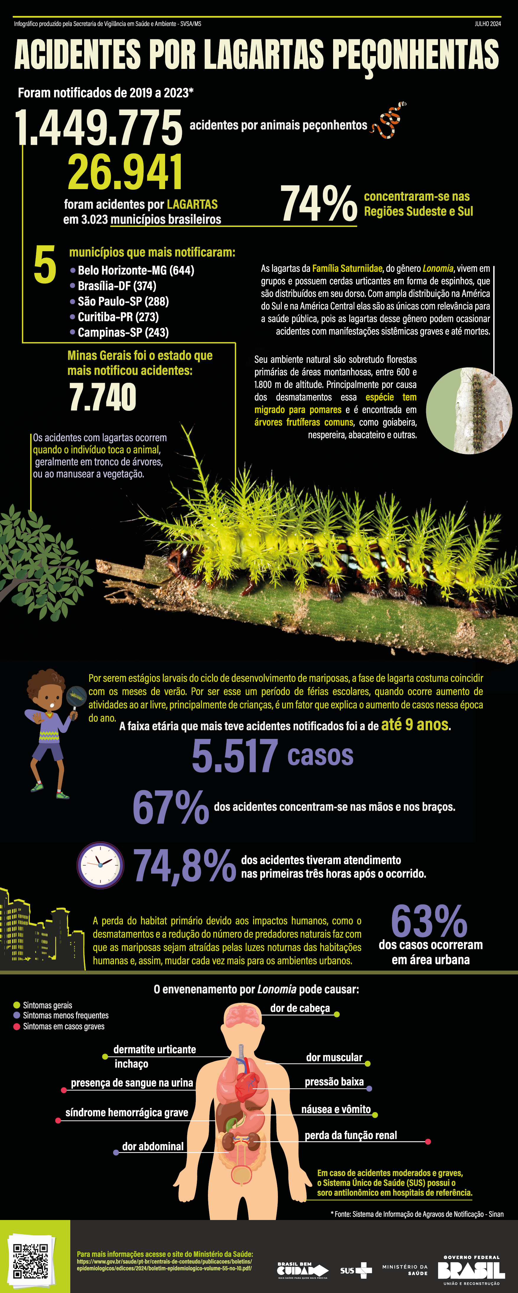 Infografico - Acidentes por Lagartas Peçonhentas