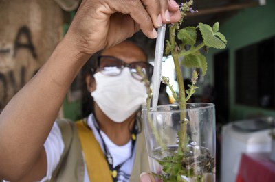 Dengue: dedicar 10 minutos por semana faz toda diferença!