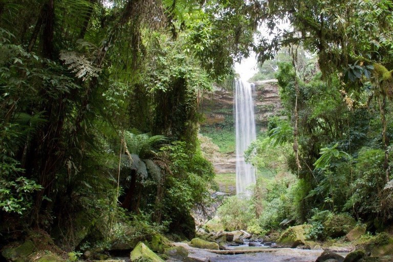 Ministry of Environment initiates public consultation for the Atlantic Forest Action Plan