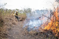 Brazil’s Federal Police intensifies investigation of wildfires