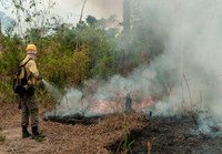 Brazil's Federal Government deploys over 1,400 personnel to fight Amazon forest fires