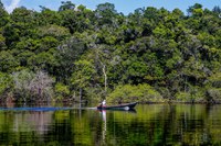 August 2024 Amazon deforestation lowest in six years