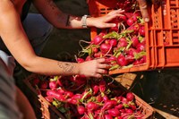 Brazil attends official opening of Global Family Farming Forum in Rome