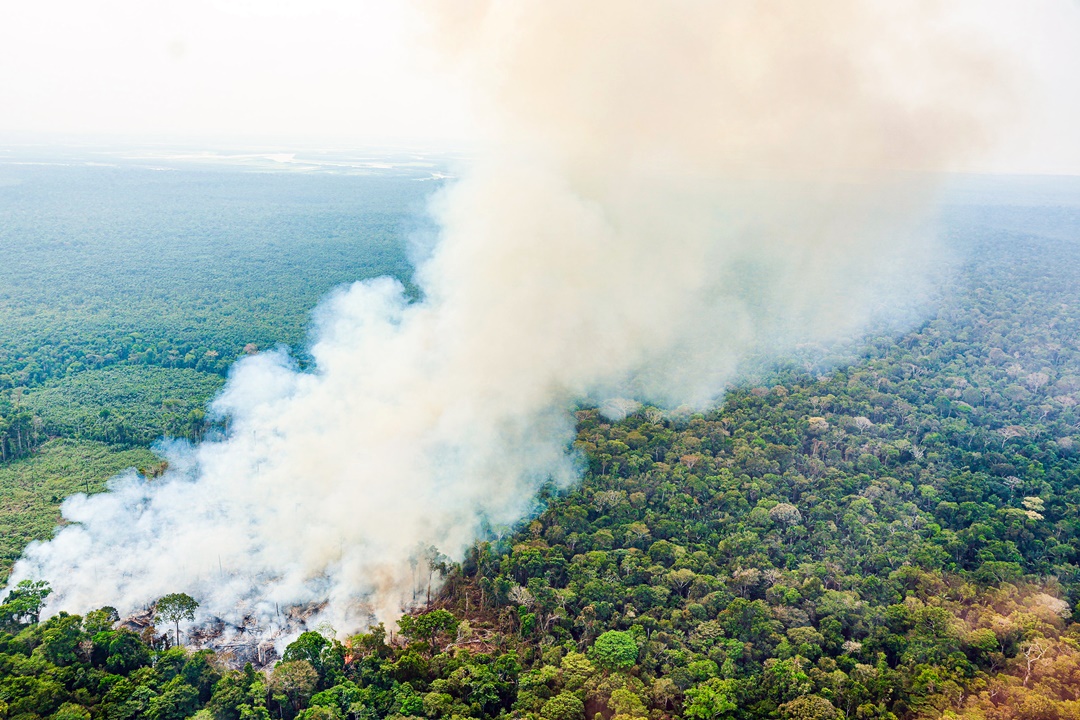 El Gobierno federal destina más de BRL 514 millones a combatir los incendios y la sequía en la Amazonia