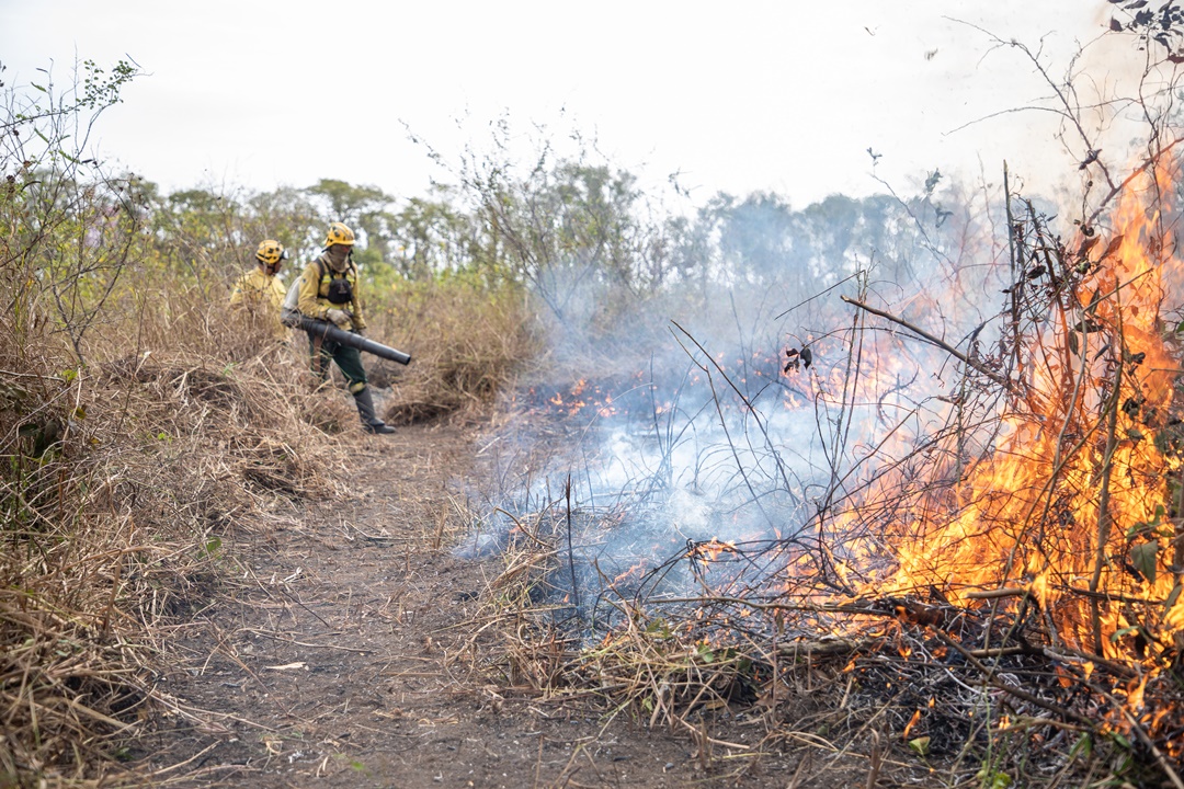 La Policía Federal intensifica las investigaciones sobre los incendios