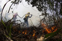 El Gobierno federal brasileño destina BRL 137 millones en crédito extraordinario para combatir incendios en Pantanal