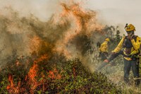 La Policía Federal investiga 18 focos de incendio en Pantanal