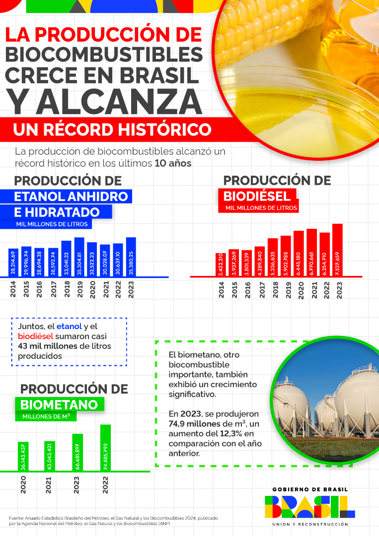 Info_espanhol_biocombustiveis.png