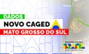 Banner Caged - Mato Grosso do Sul