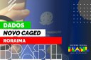 Dados de Roraima no Novo Caged