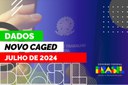 Novo Caged - Dados de Julho de 2024