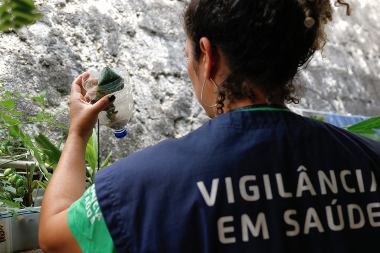 Dia D contra a dengue