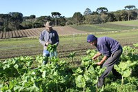 Pronaf investe R$ 688 milhões na agricultura familiar em Sergipe, aumento de 43,22% em relação à safra 2022/2023
