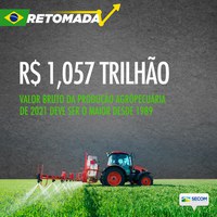 Valor da Produção Agropecuária de 2021 deve ser o maior desde 1989