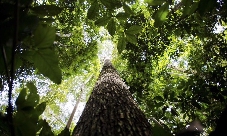 O maior patrimônio natural do mundo é do Brasil