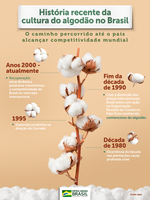 Brasil produziu 6,9 milhões de toneladas de algodão em 2019