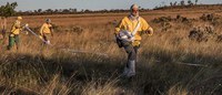 Governo Federal reforça prevenção a incêndios no Pantanal