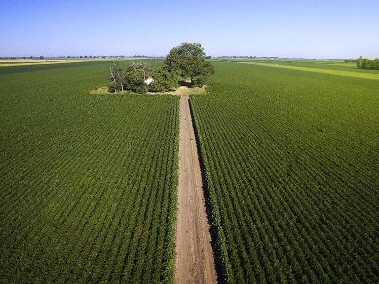 Valor da produção agrícola nacional tem recorde em 2020 com R$ 470,5 bilhões