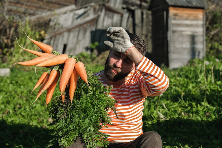 Campanha Brasileiros pelo Brasil leva alimentos da agricultura familiar a quem precisa