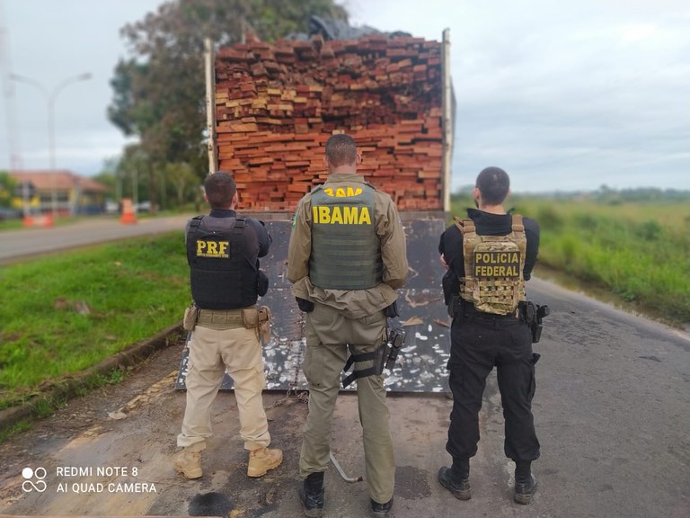 Ação conjunta do Governo Federal reprime desmatamento no Pará