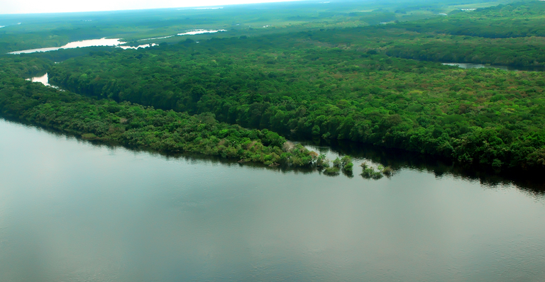 230208_MMA_AmazôniaBioma_Foto-MarioOliveira-MTur.png