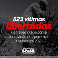 Somente em 2023, 523 vítimas de trabalho análogo à escravidão foram resgatadas