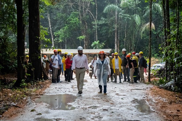 Brasil e Reino Unido anunciam aportes no AmazonFACE, projeto ambiental ...