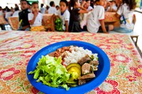 Governo repassa R$ 2,5 bilhões em seis meses para alimentação escolar