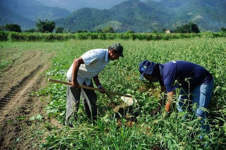 Produtores Rurais