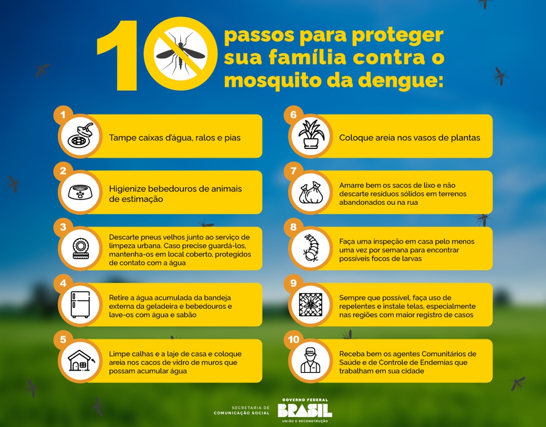 Dez passos para ajudar a prevenir a dengue