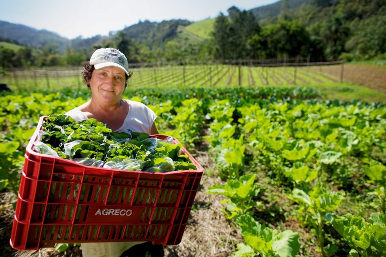 Mulheres produtoras rurais