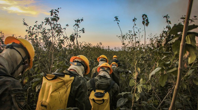 Com apoio das Forças Armadas, Governo reforça combate às queimadas no Pantanal