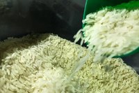 Governo Federal decide aperfeiçoar regras e anula leilão para compra de arroz importado