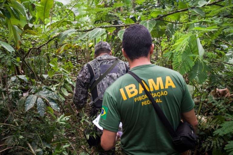 Fiscalização ambiental.jpg