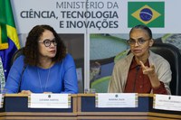 Desmatamento no Cerrado e na Amazônia têm queda no 1º semestre de 2024