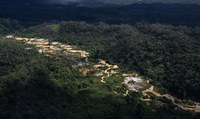 Governo Federal completa mil operações realizadas na Terra Indígena Yanomami no período de cinco meses