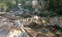 Operação para proteger a Terra Indígena Karipuna contra desmatamento segue para fase final